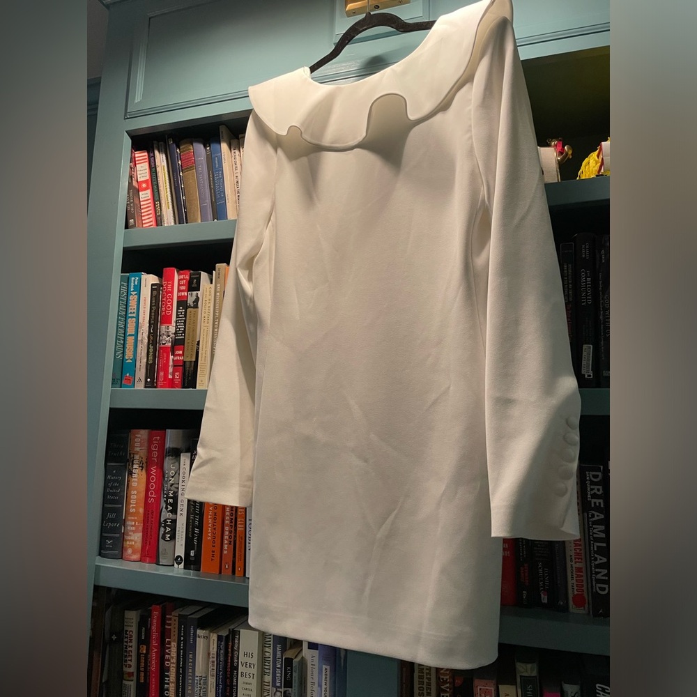Classic Goop Randolph Ruffle Dress - Picture 7 of 11